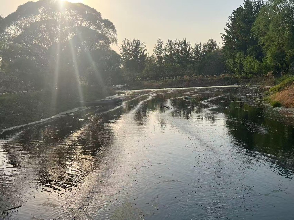 黑臭水体治理与水生态稳定提升