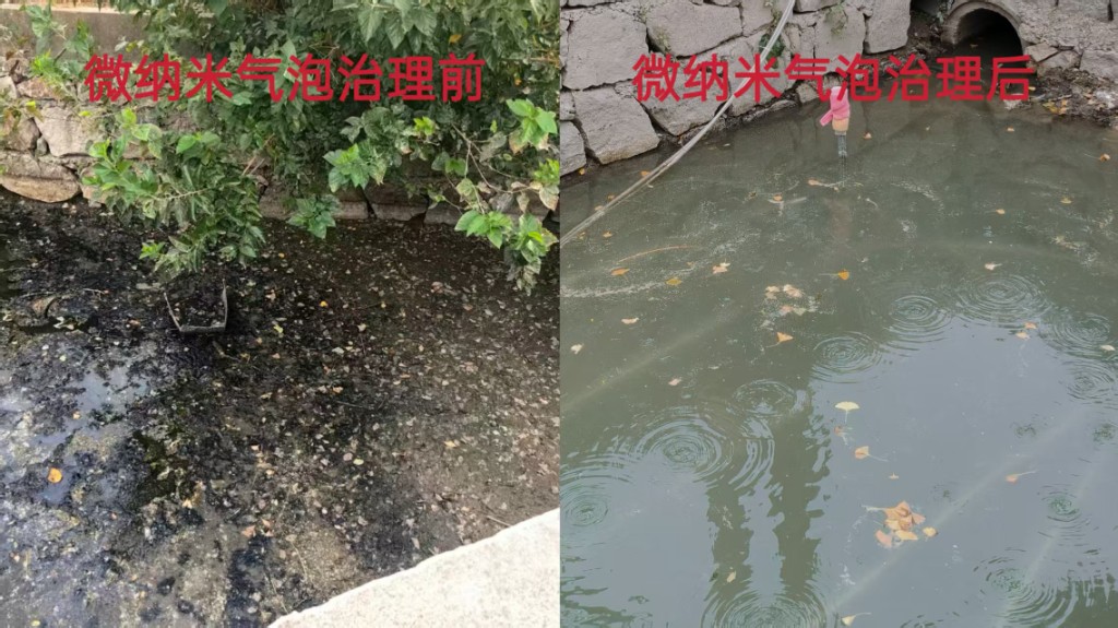 黑臭水体治理与水生态稳定提升
