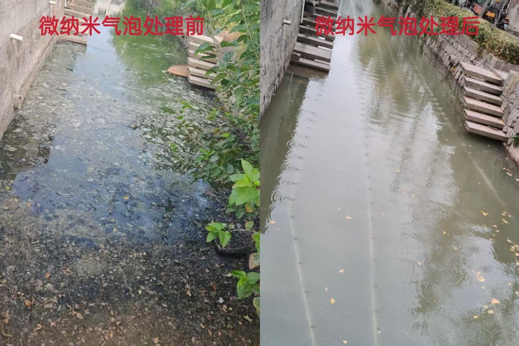 黑臭水体治理与水生态稳定提升