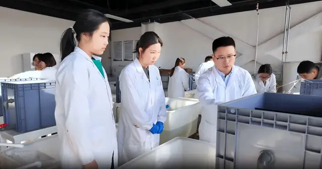 根际增氧与微环境调控示意