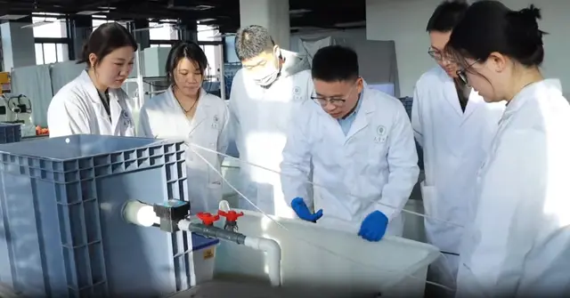 盐碱改良机制与指标综合图