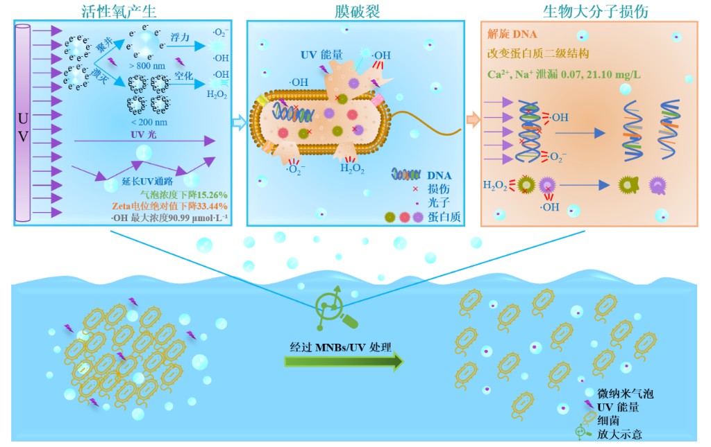 饮用水水质提升与安全保障