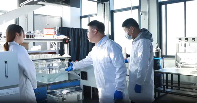 系统与流程示意