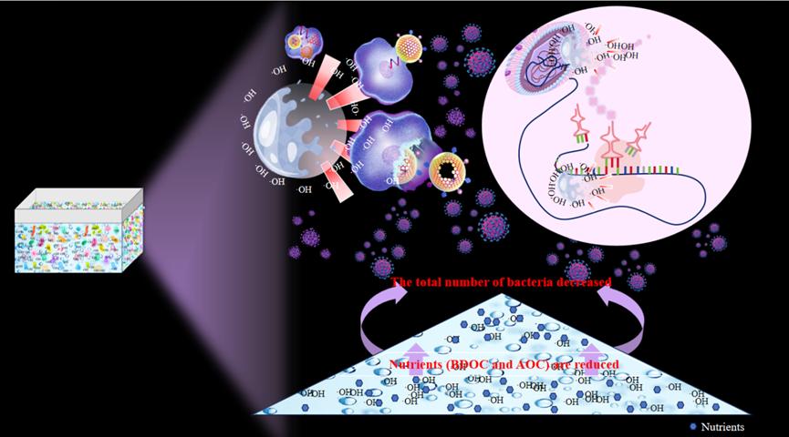 微纳米气泡作用机制示意图