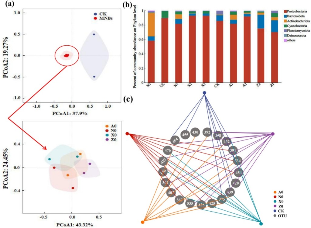 微生物群落与共现网络分析图