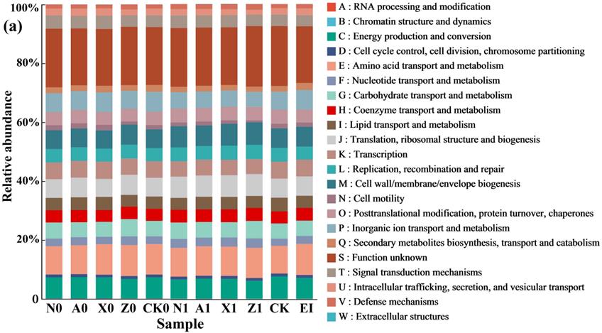 微纳米气泡对大肠杆菌入侵的调控机制示意